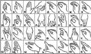 Язык жестов — как учить самостоятельно