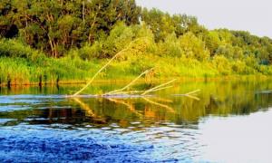 Урал (Яик) - река Восточной Европы Где находится река яик